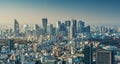 Skyline of Tokyo Cityscape at Sunset