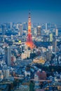 Skyline of Tokyo Cityscape with Tokyo Tower at Night, Japan