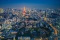 Skyline of Tokyo Cityscape with Tokyo Tower at Night, Japan Royalty Free Stock Photo