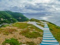 Skyline trail, in Cape Breton Highlands National Park Royalty Free Stock Photo