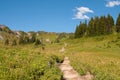 Skyline trail, mt Rainier, Paradise Valley Royalty Free Stock Photo