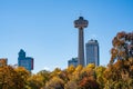 Skylon Tower, autumn maple leaves over blue sky. Fall foliage in Niagara Falls City. Royalty Free Stock Photo