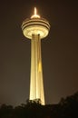 The Skylon Tower at Night Royalty Free Stock Photo