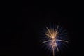 Skyrockets exploding in the night sky on the Fourth of July. Royalty Free Stock Photo