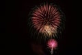 Skyrockets exploding in the night sky on the Fourth of July. Royalty Free Stock Photo