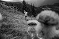 Skyrunner runs uphill along a mountain ridge. Front view, caucasian man. Sunny summer day.slovakia, tatras, Europe.