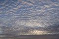 A skyscape with cirrocumulus clouds in white, red and yellow and a clear deep blue sky at dusk in the summer