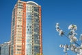 Skyscraper or flat block building on clear blue sky background. Blossom tree branch on front view. Closeup view with copy space. Royalty Free Stock Photo