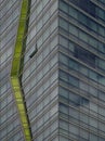 Corner detail of a glazed wall of a skyscraper.