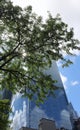 skyscraper with mirrored glass windows and a contrasting green tree branch Royalty Free Stock Photo