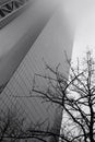 Rainy New York - Skyscraper and Tree Monochrome