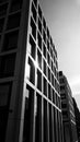 Skyscraper vertical in black and white Monochrome photograph Futuristic view of the dark urban world to come