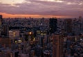 The skyscrapers around the Tokyo Tower at evening. Tokyo. Japan