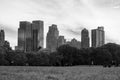 Skyscrapers seen from turf level from Central Park - zoomed in somewhat - in black and white