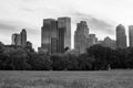 Skyscrapers seen from turf level from Central Park - monochrome, zoomed in somewhat