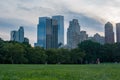 Skyscrapers seen from turf level from Central Park - colour, zoomed in somewhat