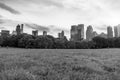 Skyscrapers seen from turf level from Central Park - in monochrome