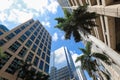 Skyscrapers in downtown Fort Lauderdale. Royalty Free Stock Photo