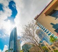 Skyscrapers in downtown Fort Lauderdale Royalty Free Stock Photo