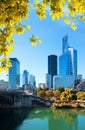 Paris business district in autumn