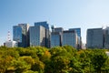 Skyscrapers of Marunouchi district, viewed from Imperial Palace gardens. Tokyo. Japan Royalty Free Stock Photo