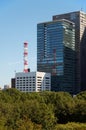 Skyscrapers of Marunouchi district, viewed from Imperial Palace gardens. Tokyo. Japan Royalty Free Stock Photo