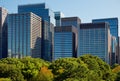 Skyscrapers of Marunouchi district, viewed from Imperial Palace gardens. Tokyo. Japan Royalty Free Stock Photo