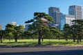 Skyscrapers of Marunouchi district, viewed through the Kokyo Gai Royalty Free Stock Photo