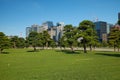 Skyscrapers of Marunouchi district, viewed through the Kokyo Gaien National Garden. Tokyo. Japan Royalty Free Stock Photo