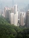 Skyscrapers over the forest