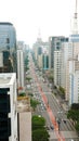 Skyscrapers in Paulista Avenue in Sao Paulo Metropolis, Brazil