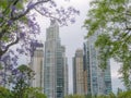 Skyscrapers in Puerto Madero neighborhood, Buenos Aires Royalty Free Stock Photo