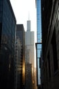 Skyscrapers at Sunset, Chicago Downtown Royalty Free Stock Photo