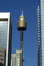 Skyscrapers and sydney tower Royalty Free Stock Photo