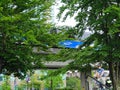 SkyTrain crossing over a busy street in Downtown Vancouver. Royalty Free Stock Photo