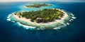 Skyward Capture of a Splendid Beach with Palms and Calm Waves, A Stunning Summer Landscape for Creative Designing