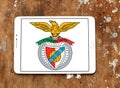 SL Benfica soccer club logo