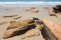 Slabs of beach rock on Cable Beach, Broome, Western Australia.