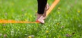 Slack line in the city park. Royalty Free Stock Photo