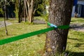 Slackline green rope for slacklining is tied to a tree in garden park