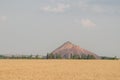 Slagheap in western Ukraine with wheat field Royalty Free Stock Photo