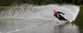 Slalom waterskier Royalty Free Stock Photo