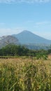 Slamet Mountain 2