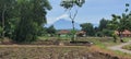 Slamet mountain and rice field Royalty Free Stock Photo