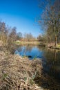 Slanaky lake with trees around and clear sky in CHKO Poodri in Czech republic