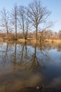 Slanaky oxbow lake in early spring CHKO Poodri in Czech republic