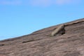 Slanted Rock in the Enchanted Rock State Park Royalty Free Stock Photo