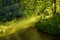 Slanted sunrays over running river in forest
