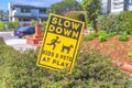 Slanted yellow signage on top of a bush at La Jolla, San Diego, California