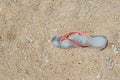 Slap gray, old and forgotten on the sandy shore, the spread of garbage on the beach Royalty Free Stock Photo